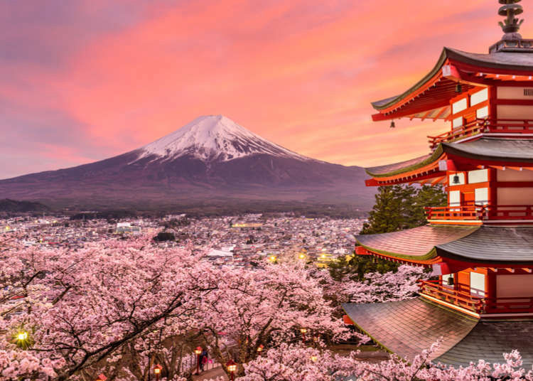 Japan Tours